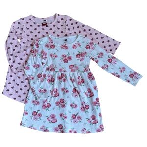 Hudson Baby Pink Roses Toddler Girl Cotton Long-Sleeve Dress Set of 2 Bundle 4T